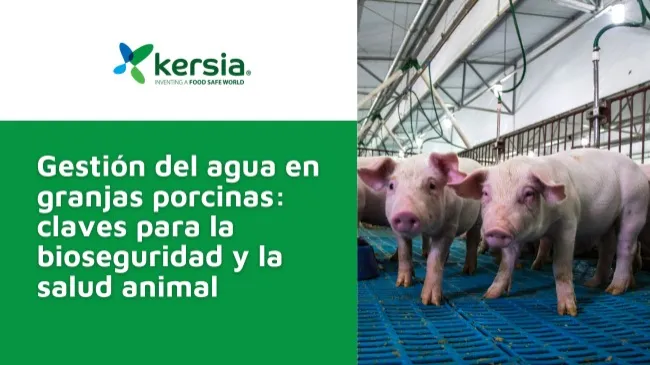 Patógenos claves en el agua de producciones porcinas: un riesgo sanitario y económico