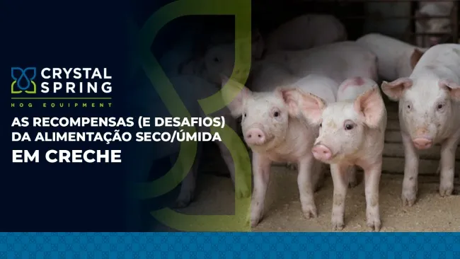 As recompensas (e desafios) da alimentação seco/úmida em creche