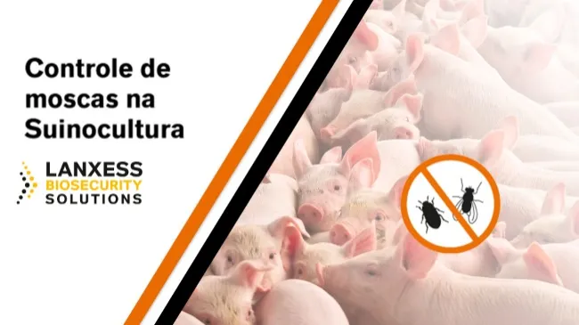 Mefisto Shock® e o controle de moscas na Suinocultura