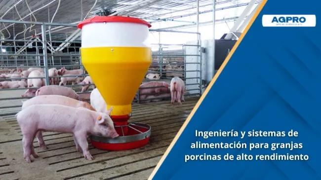 AGPRO: ingeniería y sistemas de alimentación para granjas porcinas de alto rendimiento