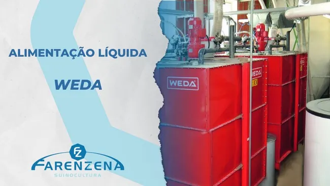 Alimentação Líquida Weda