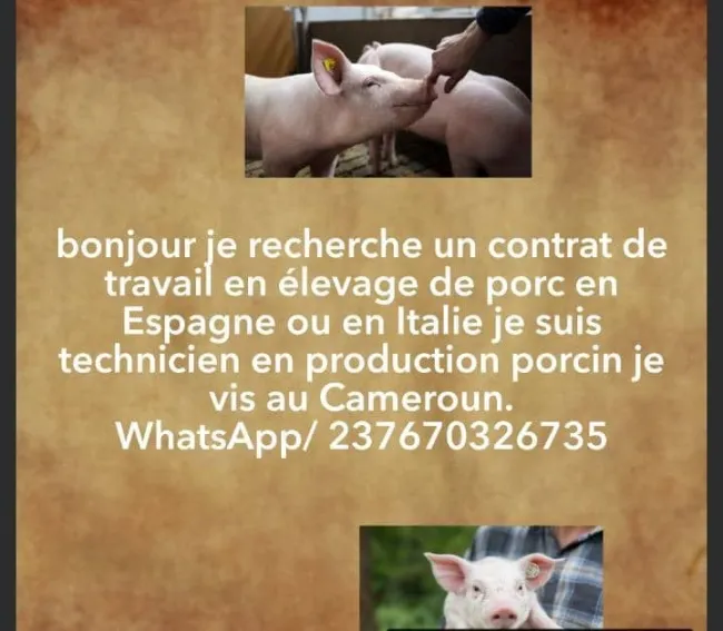 bonjour !