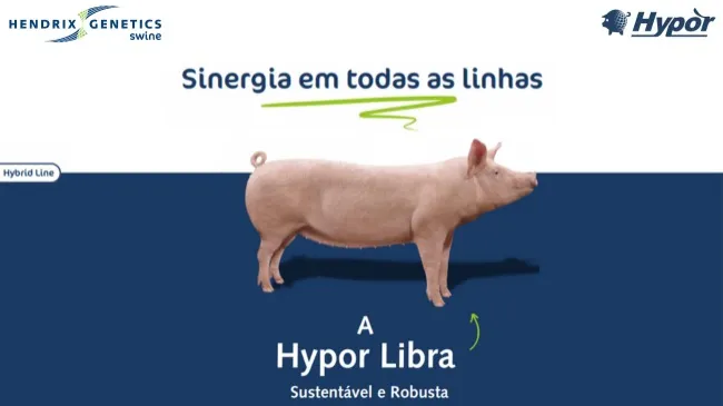 Sinergia em todas as linhas: conheça a Hypor Libra