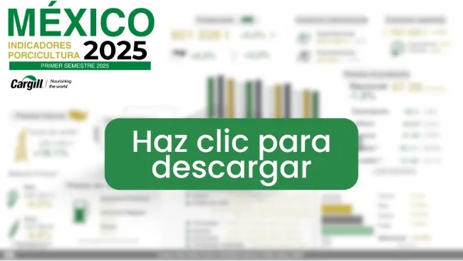 Indicadores de la porcicultura México, primer semestre 2025