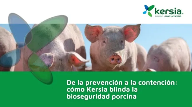 PPA bajo control: protocolos de Kersia para granjas más seguras y operativas