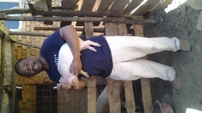 Our poor farmer needs help they don't know how to feed pigs especially...