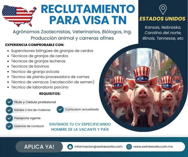 swineworks contrata Agrónomos y Veterinarios para granjas de cerdos, ...