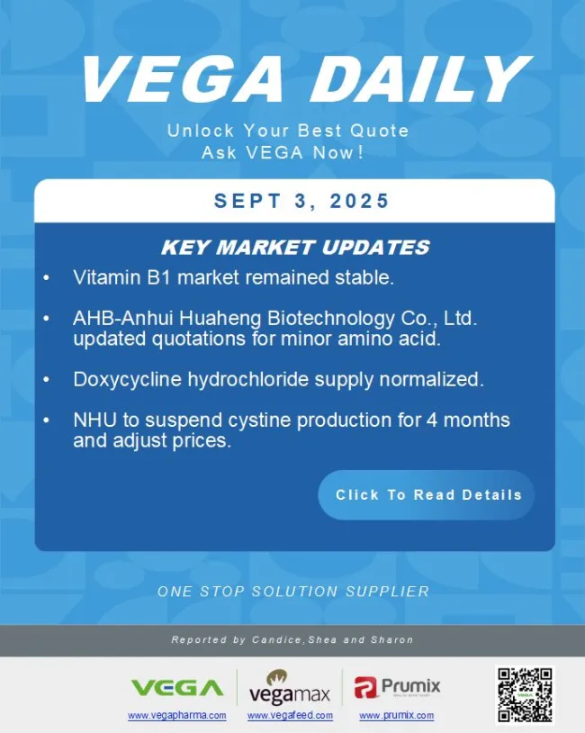 📅 VEGA Daily – September 3, 2025