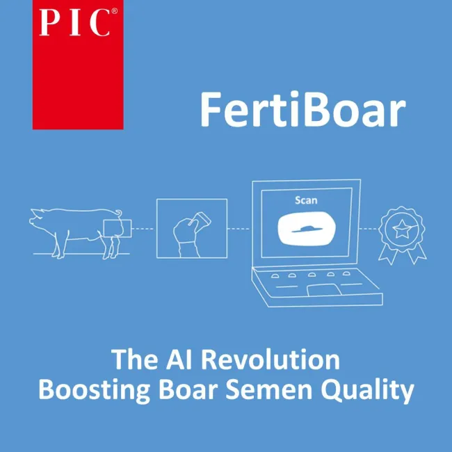 PIC’s revolutionary AI-driven technology, FertiBoar, helps ensure on...