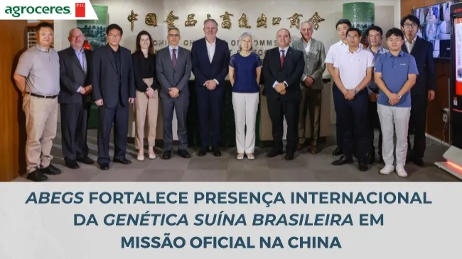 ABEGS fortalece presença internacional da genética suína brasileira em missão oficial na China