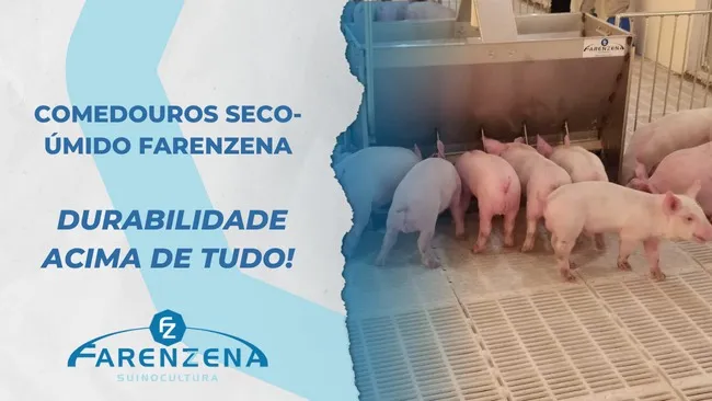 Comedouros Seco-úmido. Durabilidade acima de tudo!