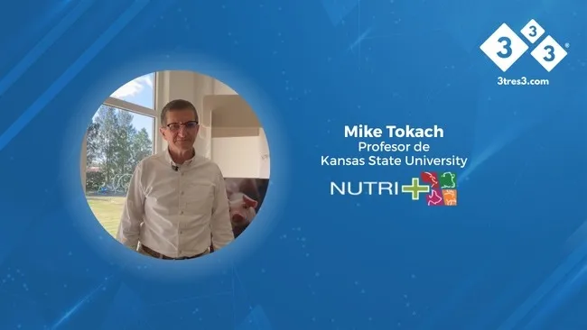 Estrategias nutricionales para maximizar el rendimiento porcino: la visión de Mike Tokach 