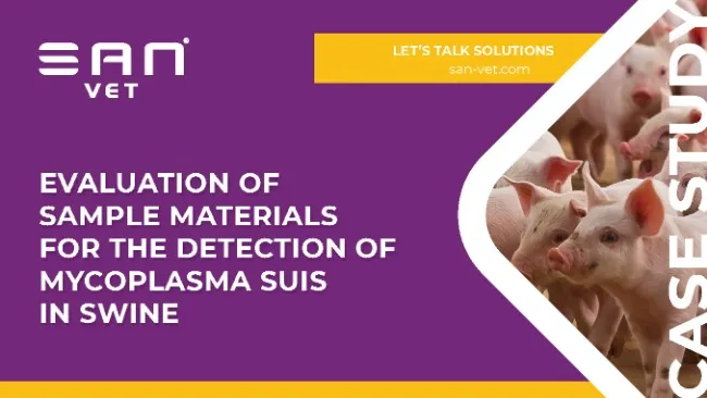 Evaluation of Sample Materials for the Detection of Mycoplasma Suis in Swine