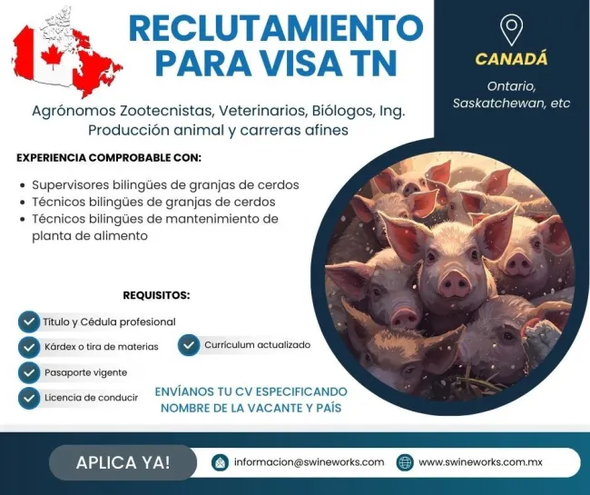 ¿Sueñas con una carrera en el extranjero? ✈ ¡Canadá tiene una op...