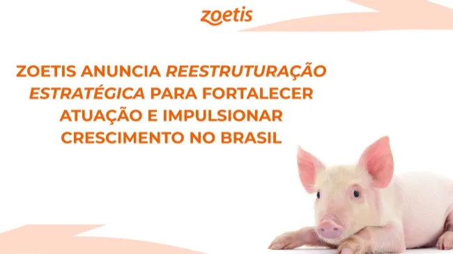 Zoetis anuncia reestruturação estratégica para fortalecer atuação e impulsionar crescimento no Brasil