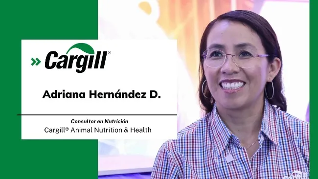 Porcicultura moderna: cómo potenciar la genética de la cerda con nutrición, tecnología y consultoría