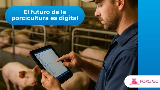 La gestión de datos en granjas porcinas: un reto de simplicidad en tiempos de transformación