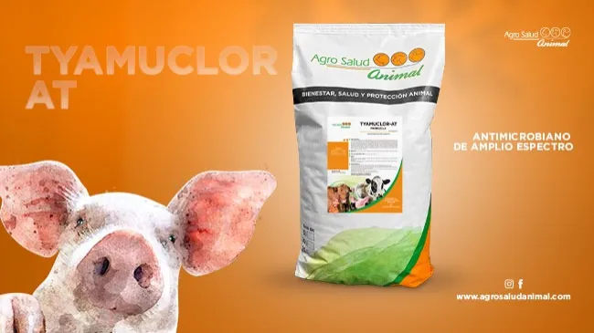 Control eficaz de micoplasmas y bacterias en producción animal: conoce Tyamuclor AT