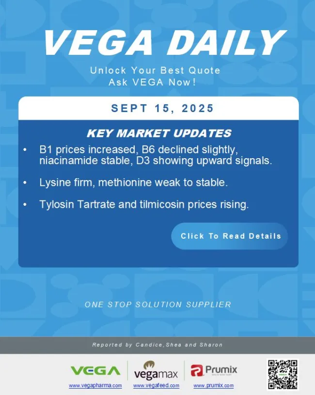 📢 Vega Daily – September 15, 2025