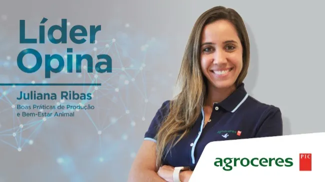 [Líder Opina] Metodologias de aprendizagem na produção de suínos