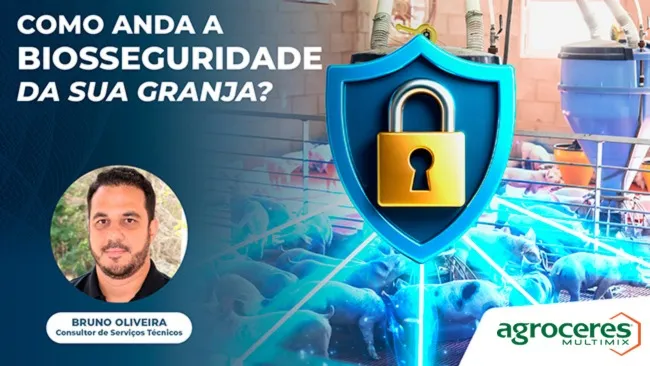 Como anda a biosseguridade da sua granja?