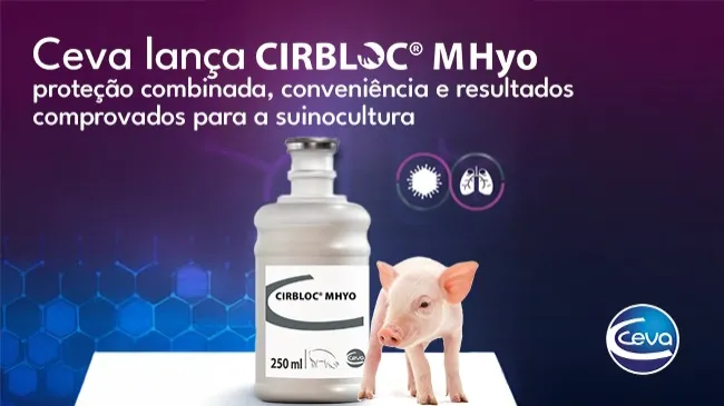 Ceva lança CIRBLOC® M Hyo: proteção combinada, conveniência e resultados comprovados para a suinocultura