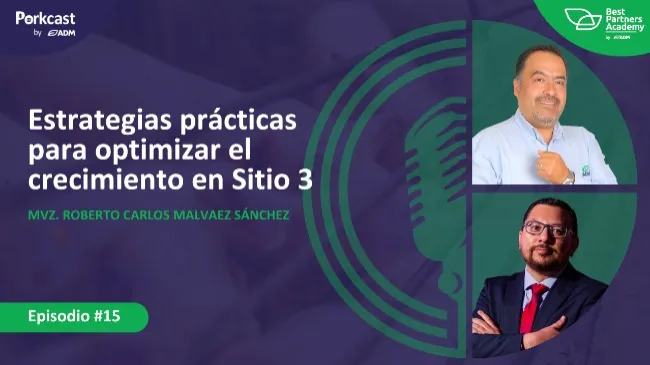 Episodio #15 del PorkCast by ADM: Estrategias prácticas para optimizar el crecimiento en Sitio 3