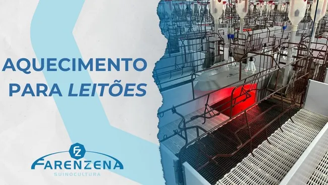 Aquecimento para leitões