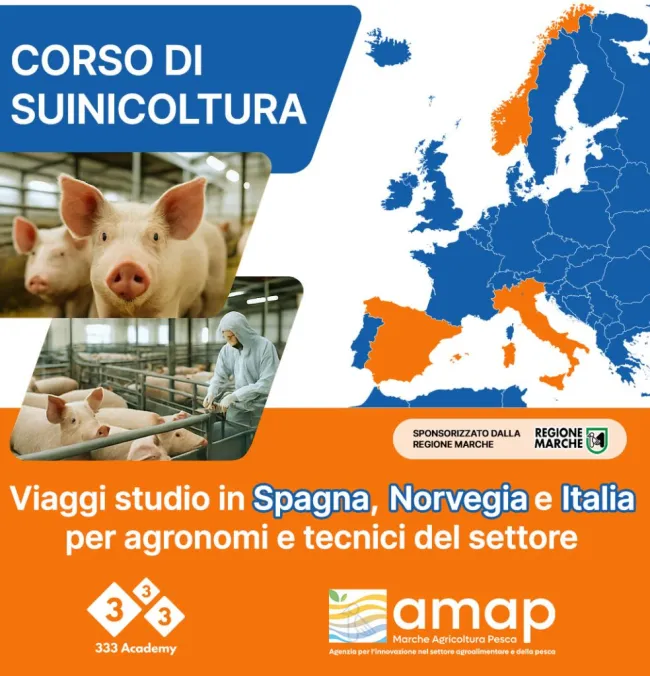 Non perdete questa occasione!! Viaggio di lavoro in Spagna, Norvegia e...