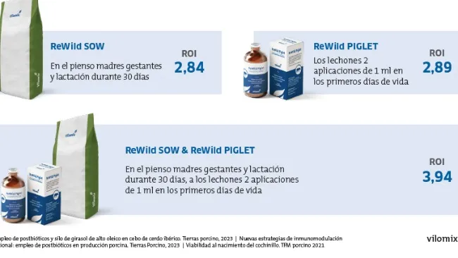 ReWild, el postbiótico que está revolucionando la nutrición porcina