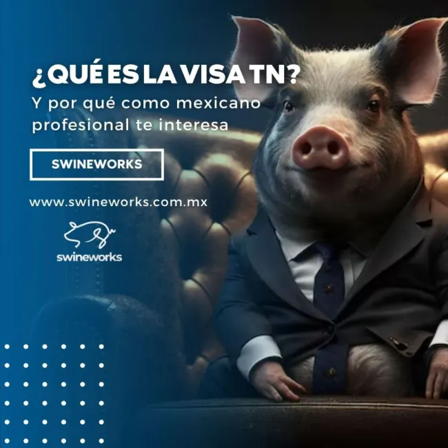 Visas de Trabajo
