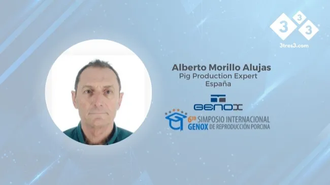 Alberto Morillo:  La porcicultura argentina debe apostar a mantener su estatus sanitario y aprender de los errores de Europa