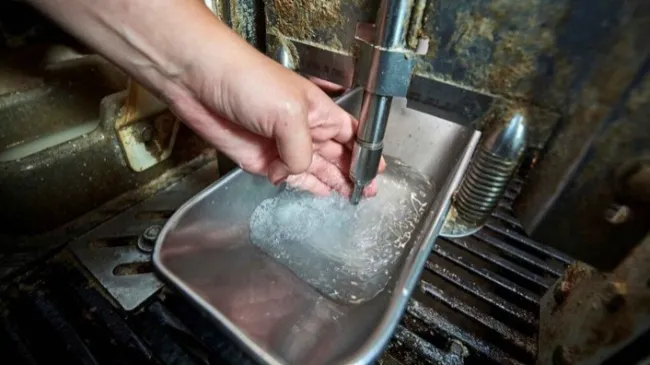 Consejos de DanBred para un uso eficiente del agua en granjas porcinas modernas