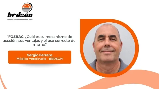 Fosbac: eficacia terapéutica y seguridad diferenciada en la producción porcina