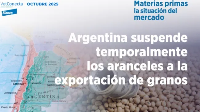 Matérias-primas - Situação do mercado em outubro  2025
