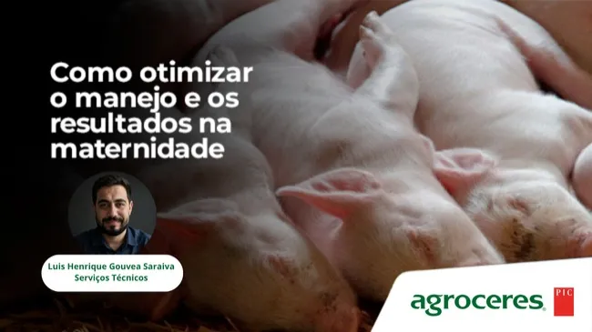 Como otimizar o manejo e os resultados na maternidade