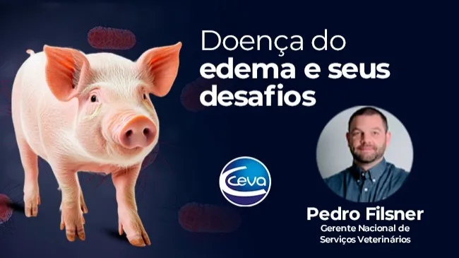 Doença do edema e os seus desafios
