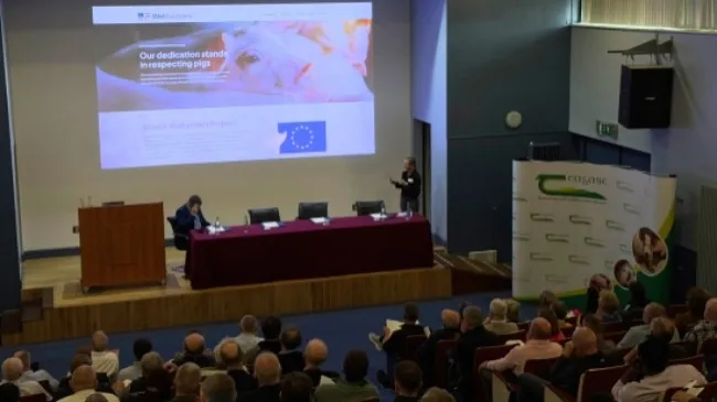 WelFarmers at the 2025 Teagasc Pig Farmers’ Conference 🇮🇪