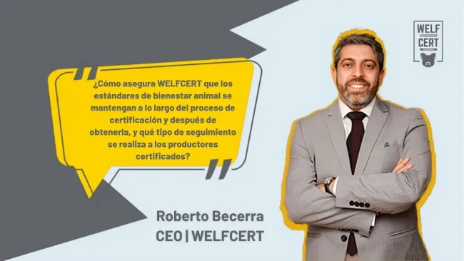WELFCERT: garantía de bienestar animal y mejora continua en la producción porcina
