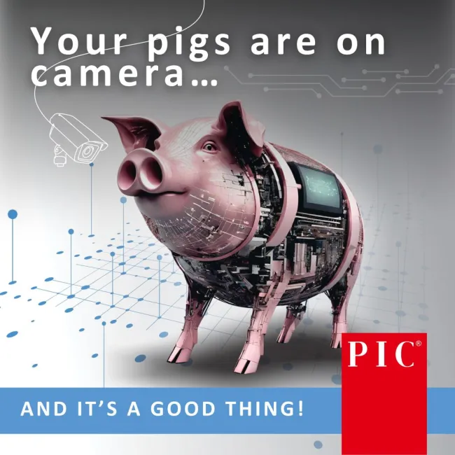 🐖🤖Your pigs are on camera… and it’s a good thing.