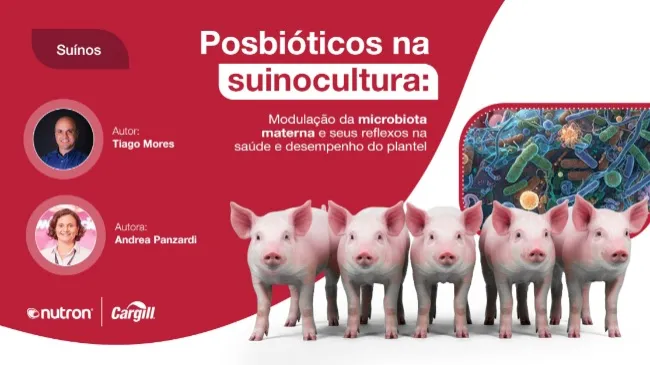 Posbióticos na suinocultura: Modulação da microbiota materna e seus reflexos na saúde e desempenho do plantel
