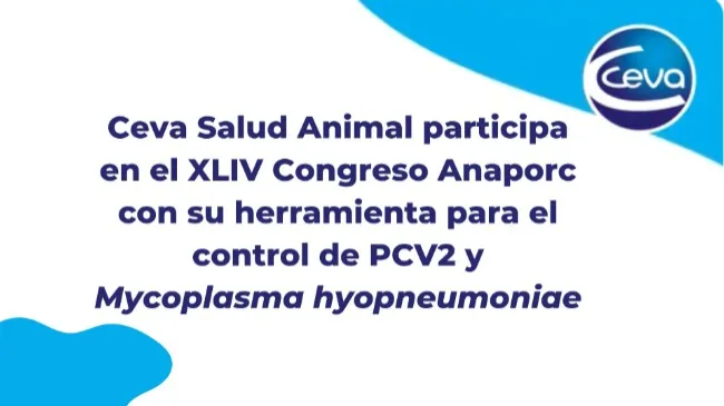 Ceva Salud Animal participa en el XLIV Congreso Anaporc con su herramienta para el control de PCV2 y Mycoplasma hyopneumoniae