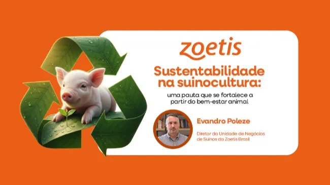 Sustentabilidade na suinocultura: uma pauta que se fortalece a partir do bem-estar animal