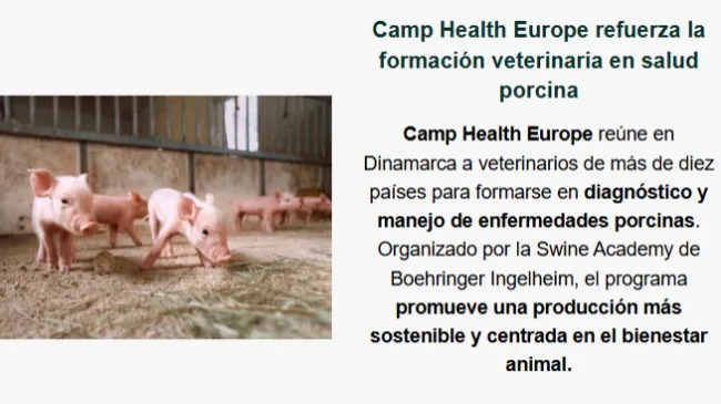 Camp Health Europe refuerza la formación veterinaria en salud porcina
