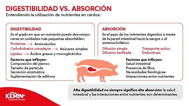 ¿Te perdiste el artículo de David González Sánchez?