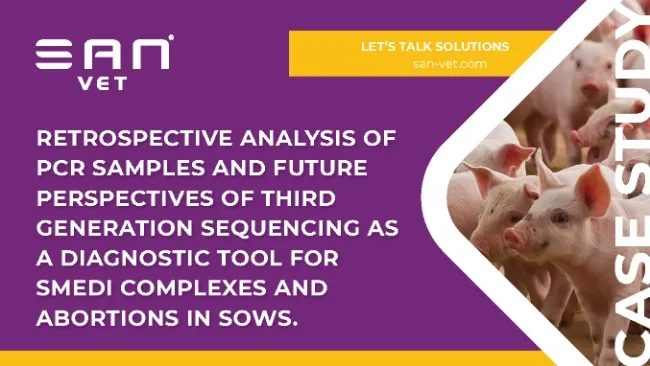 PCR samples and future perspectives of Third Generation Sequencing as a diagnostic tool for SMEDI complexes and abortions in sows