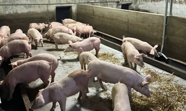Puntuali anche questa settimana i nostri super lattoni … direttament...