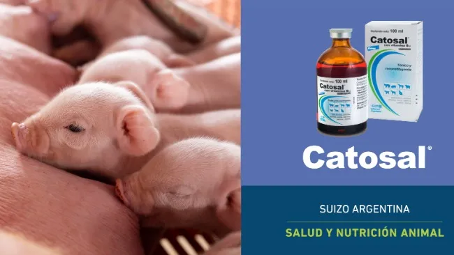 Catosal® en maternidad: Momentos metabólicos, ventanas de intervención y protocolos de aplicación.