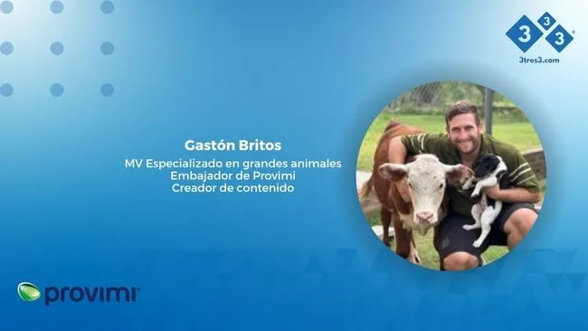 Provimi impulsa el valor de comunicar: la mirada de Gastón Britos en el lanzamiento de Livelle