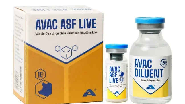 Vaccine AVAC ASF : Tiến trình thương mại hóa và những thách thức thực tế